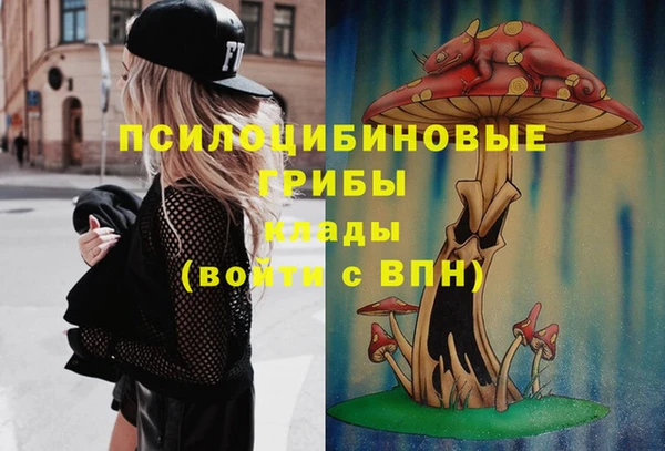 первитин Пересвет