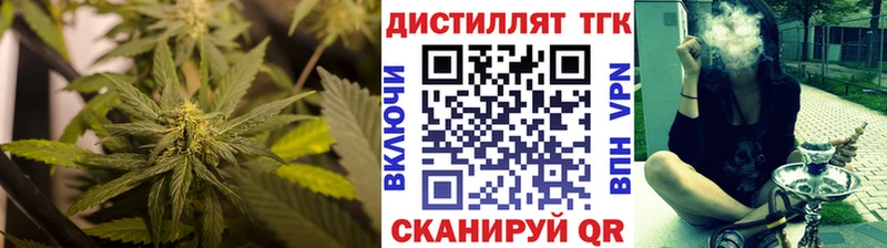 Купить где  Зеленоградск  ТГК гашишное масло 