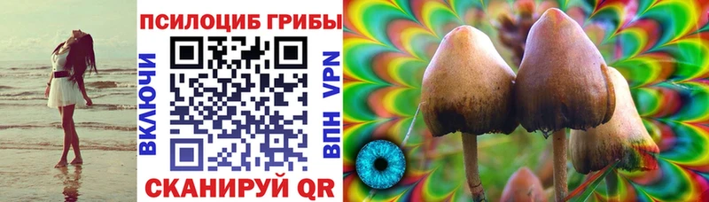 Купить где Зеленоградск Галлюциногенные грибы ЛСД